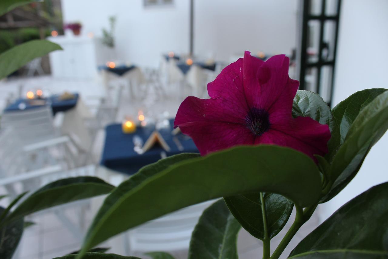 Hotel Villa Bina Sant'Angelo  Екстер'єр фото