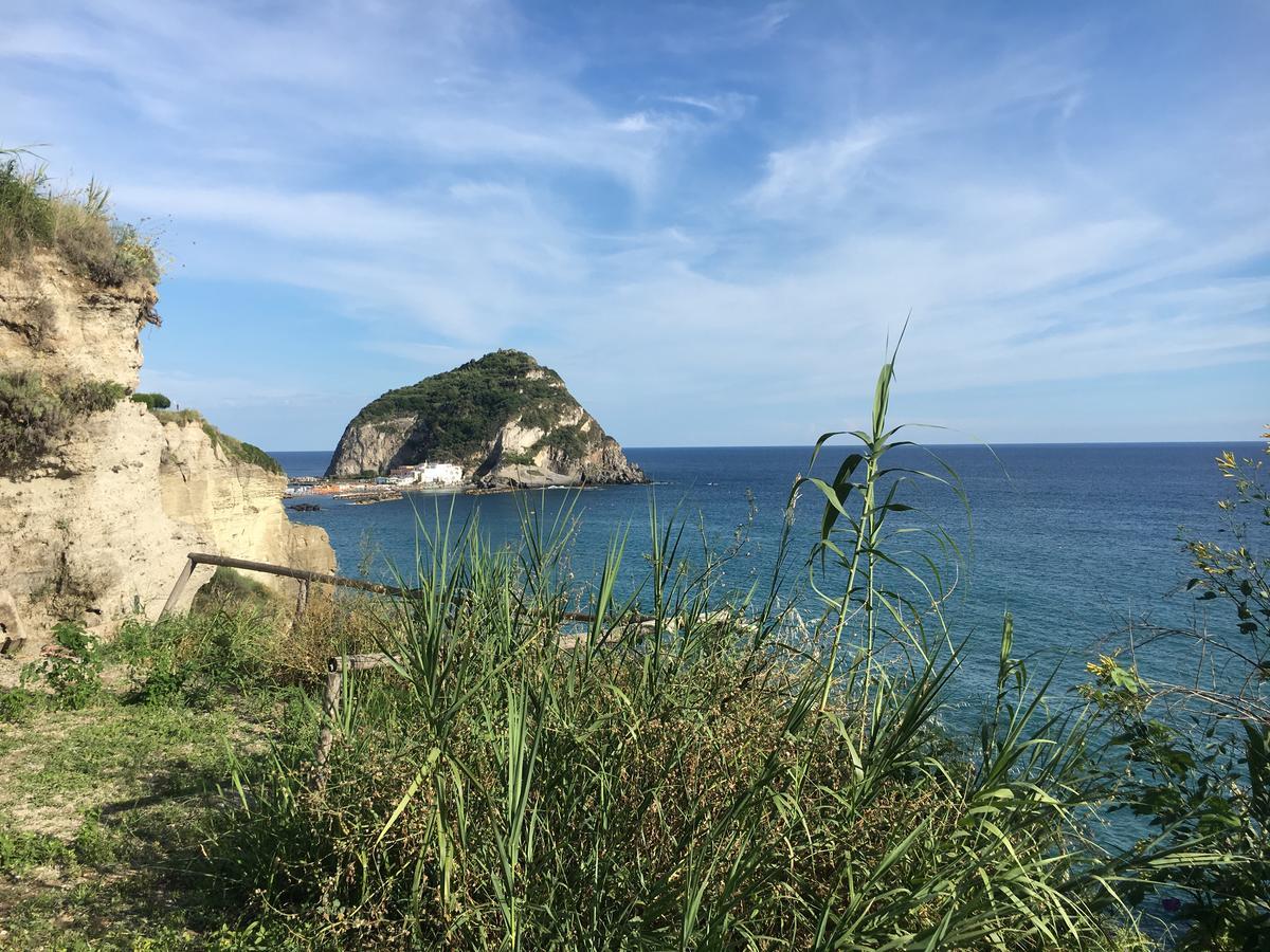 Hotel Villa Bina Sant'Angelo  Екстер'єр фото